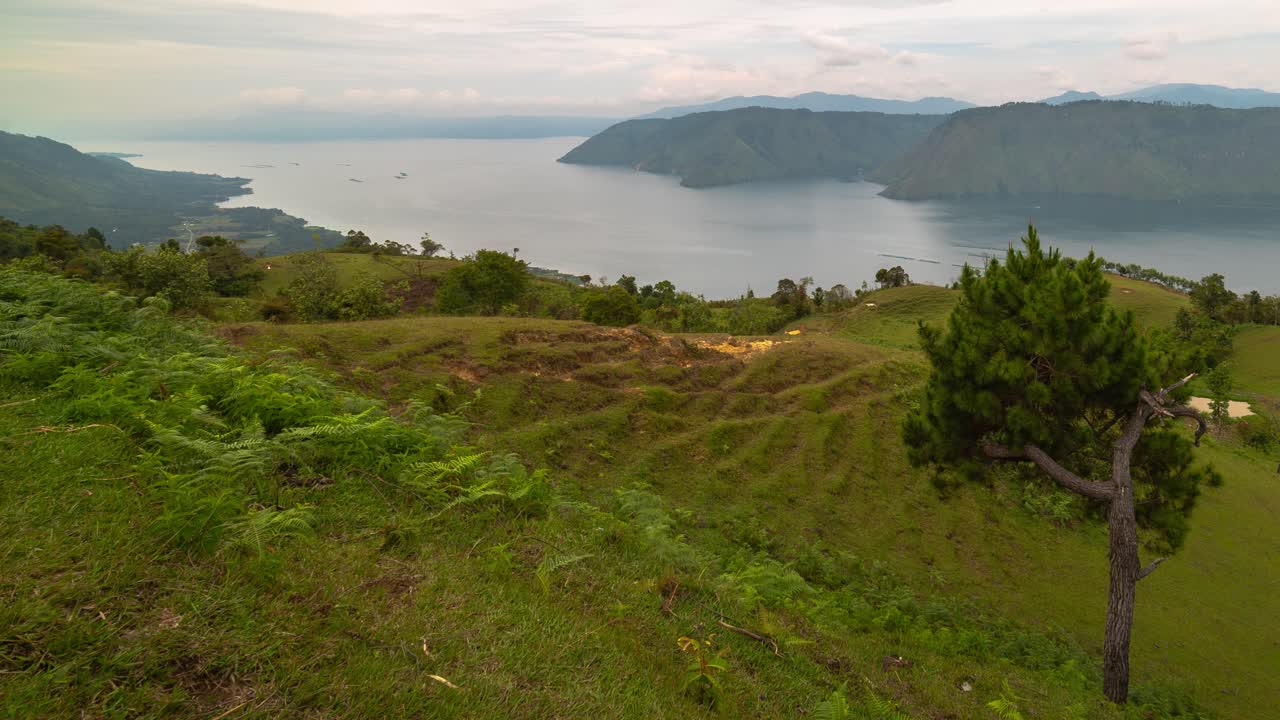 Panoramic View of Lake Toba from a Hill with Green Vegetation