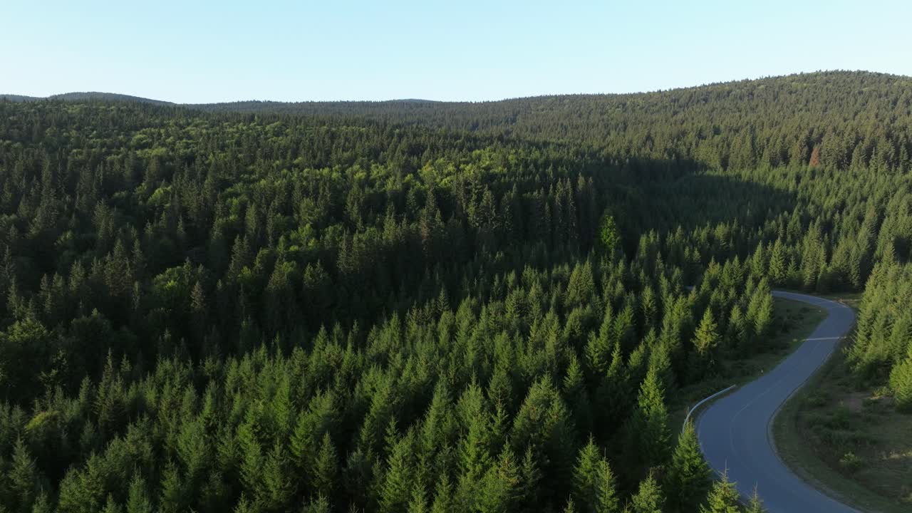Una strada tortuosa attraversa una vasta foresta verde sotto un cielo limpido e luminoso in un paesaggio suggestivo.