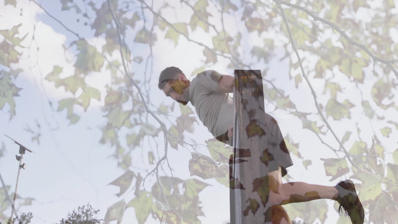 Exercising outdoors, man using equipment with tree branches in animation overlay
