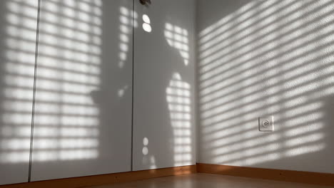 shadow of blinds and of a young woman dancing naked on a white wardrobe.