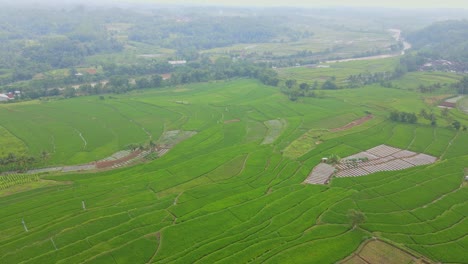 Panorama-Luftaufnahme-Des-Ländlichen-Indonesiens-Und-Der-Grünen-Reisfelder