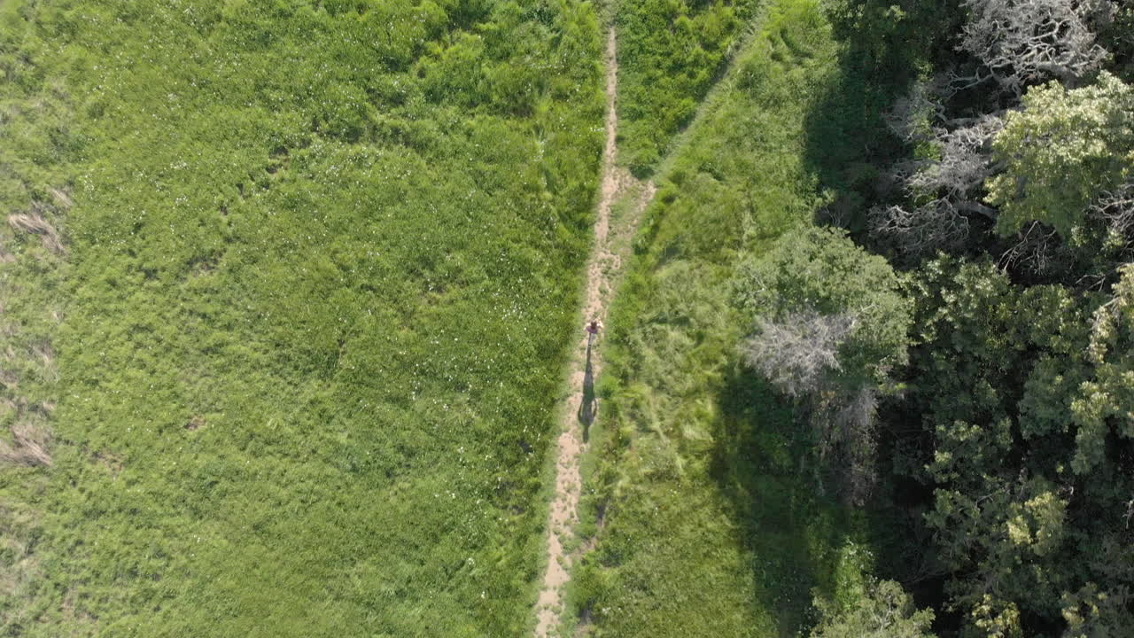 antena de una joven corriendo por un sendero forestal al atardecer
