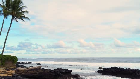 hd slow motion hawaii kauai static of big ocean wave building from right to left of frame with two palm trees in left of frame and lava rock beach with partly cloudy sky