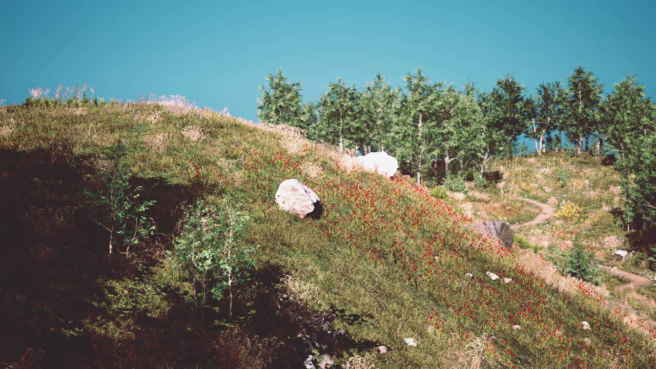 hermoso paisaje panorámico del valle de las montañas de los pirineos