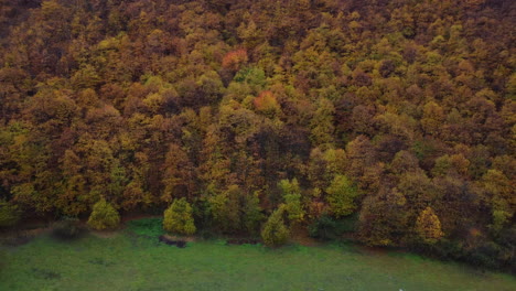 árboles-Del-Bosque-De-Otoño-Follaje-Amarillo-Y-Rojo,-Vista-Aérea-Del-Bosque