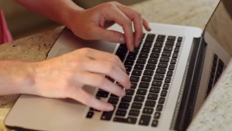 mujer usando una computadora portátil en el mostrador