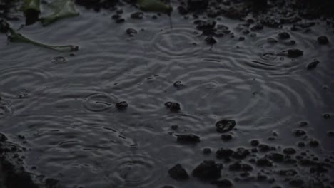 spring rain on farm land