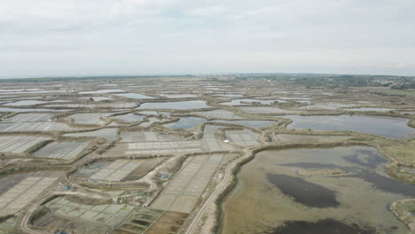 Aerial-drone-point-of-view-of-the-Marais-Salants-de-Guerande-or-Guerande-salt-marshes