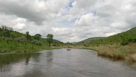 peaceful river flows through lush green wilderness under cloudy skies, evoking serenity
