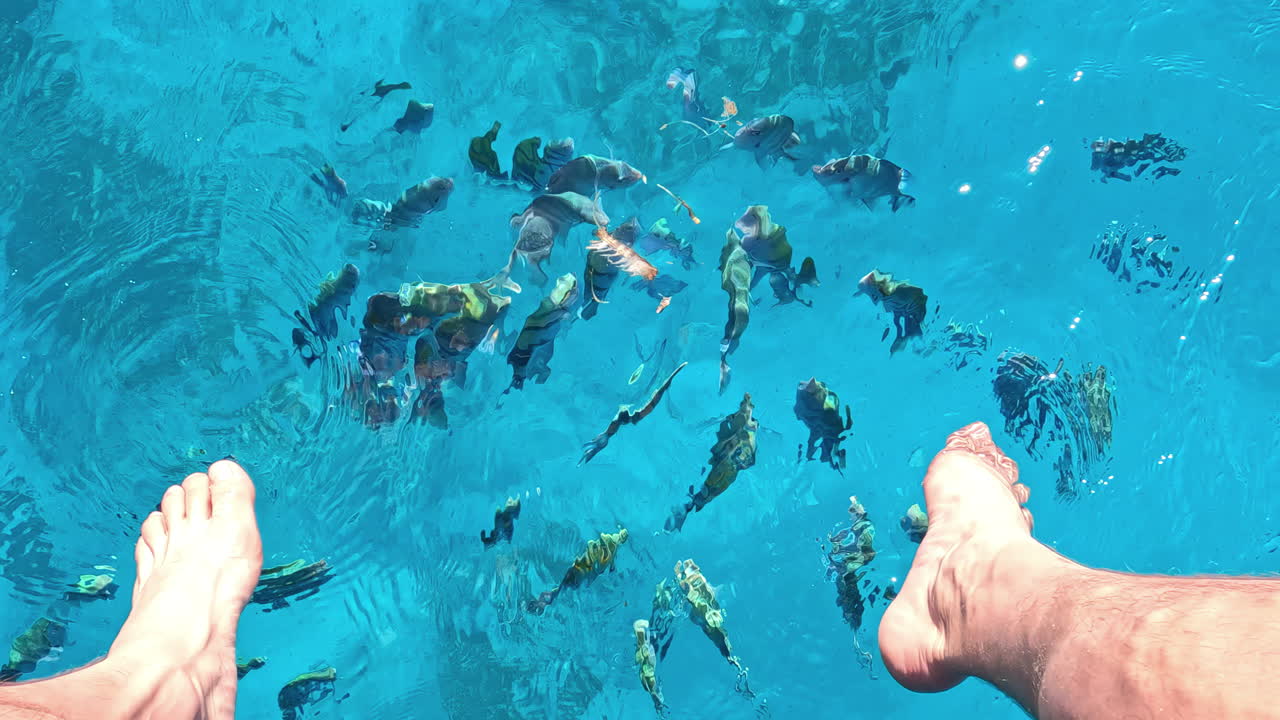 수정같이 맑은 홍해 바다에서 물고기에게 찌꺼기를 먹이고