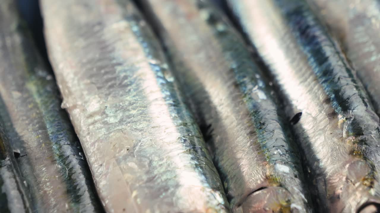 Closeup of Stacked Sardines