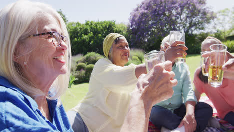 Felices-Y-Diversos-Amigos-Mayores,-Hombres-Y-Mujeres,-Haciendo-Un-Brindis-En-Un-Picnic-En-Un-Jardín-Soleado,-En-Cámara-Lenta