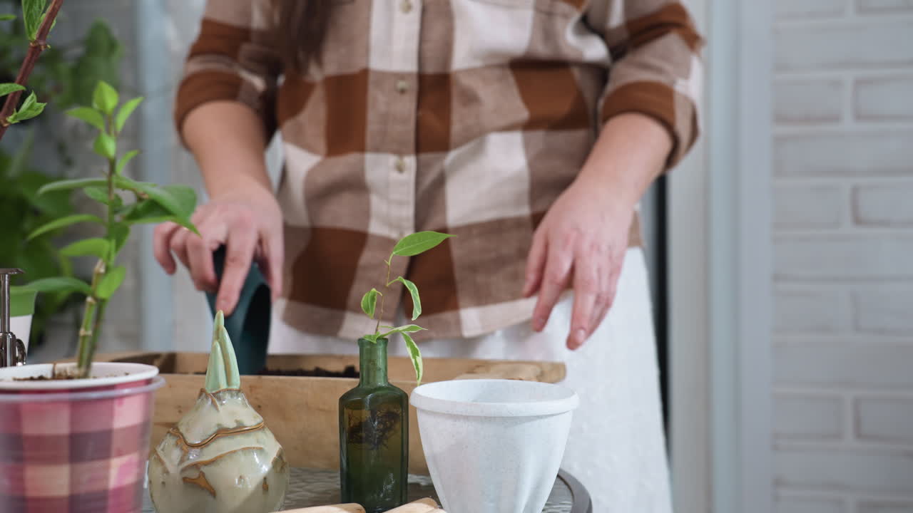 Gardener uses plastic scoop to spread rich dark soil inside wooden planter on glass table surrounded by small pots ceramic vases and gardening tools under natural light in cozy indoor plant workspace