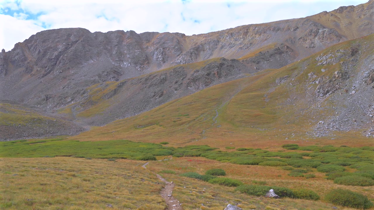 Tundra alpina d'alta quota, vetta simbolo del Monte Missouri (un 14er), sentiero Missouri Gulch, punto di partenza per le Collegiate Peaks, paesaggio naturale in una mattina d'estate soleggiata, catena montuosa Sawatch nelle Montagne Rocciose del Colorado, panoramica con movimento a sinistra
