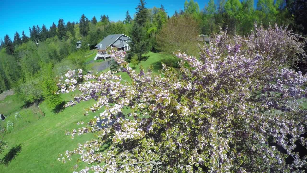 공중 상승 샷은 언덕에 오두막을 보여줍니다