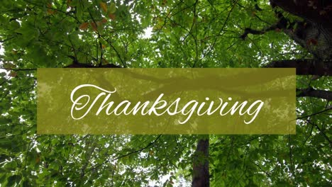 animation of thanksgiving text on green banner over trees