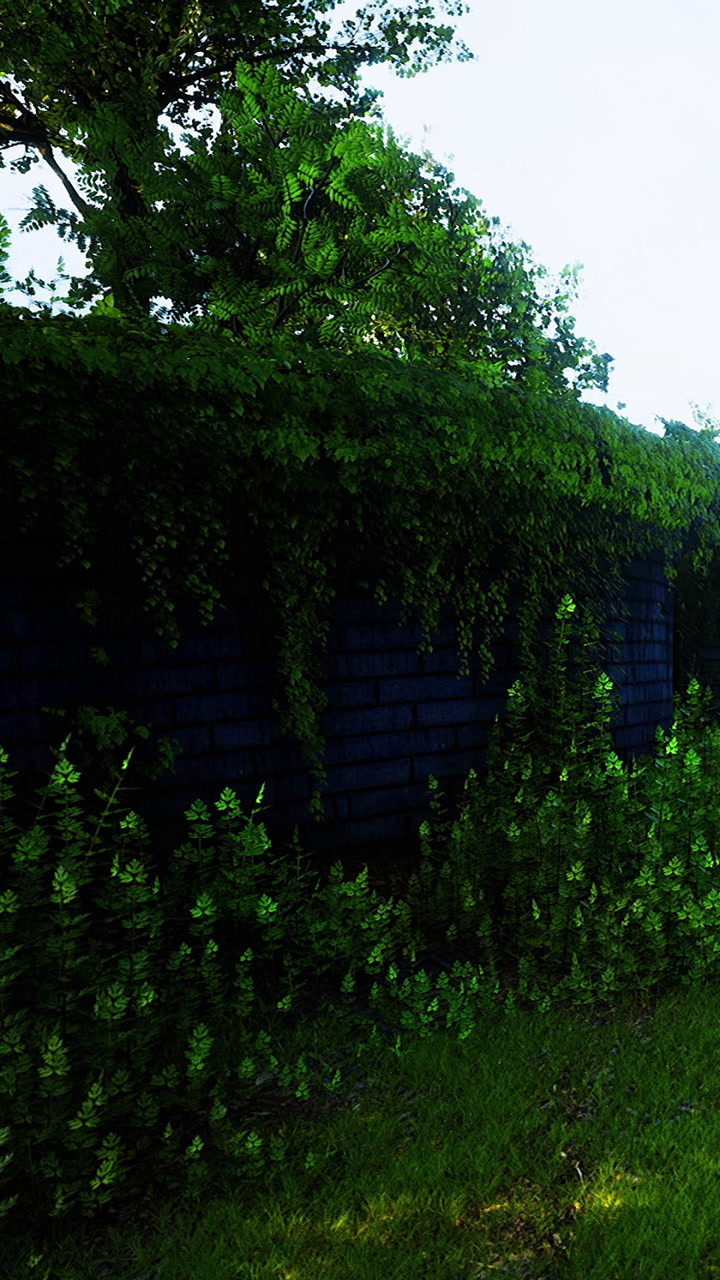 Green plants grow over blue wall in garden during daytime