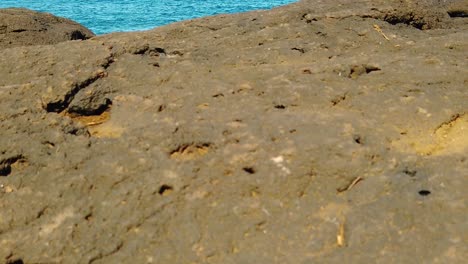 HD-Hawaii-Kauai-slow-motion-boom-up-and-slight-pan-left-to-right-from-large-lava-rock-to-an-overlooking-view-of-a-couple-in-Queen's-Bath-pool-with-one-person-near-far-edge-with-ocean-in-distance