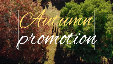 digitally generated video of autumn promotion 4k