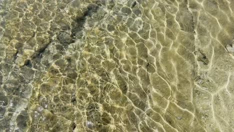 playas limpias con bandera azul de la península de halkidiki, grecia