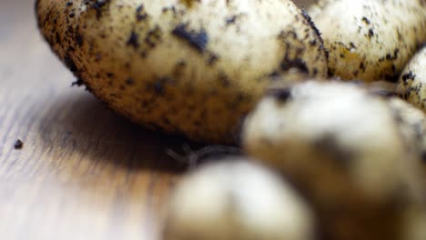patatas orgánicas de cosecha propia foco superficial cubierto de tierra en la superficie de la cocina de madera derecha dolly closeup