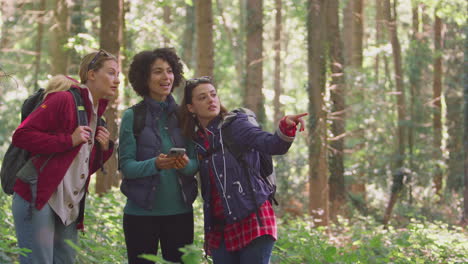 amigas con teléfono móvil en vacaciones caminando por los bosques usando la aplicación de gps para navegar