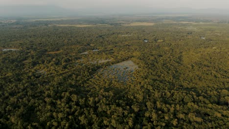 Selva-Tropical-Cerca-De-La-Playa-De-Monterrico-En-La-Costa-Pacífica-De-Guatemala