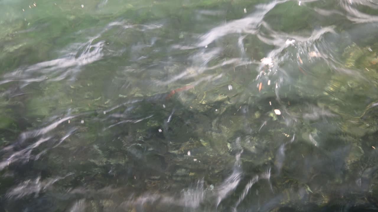 Close-up of flowing clear river water shimmering under sunlight in natural setting