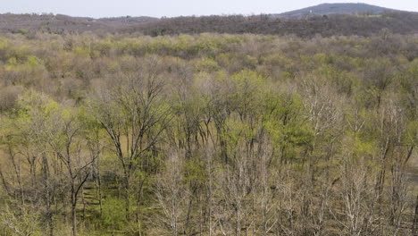 revealing shot of a murky green middle fork white river surrounded by a woodland