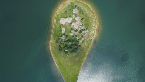 Aerial-view-of-white-trees-on-lake-island-in-Batak,-Bulgaria