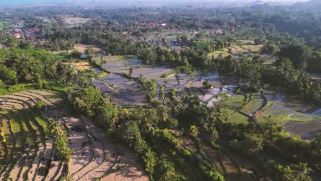 beautiful aerial view of rice paddies and the villages of bali at sunset time - indonesia