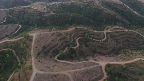 Orbit-aerial-shot-of-a-dry-barren-terrain-with-holm-oak-trees-torn-by-dirt-trails-at-sunrise-in-Algarve,-Portugal