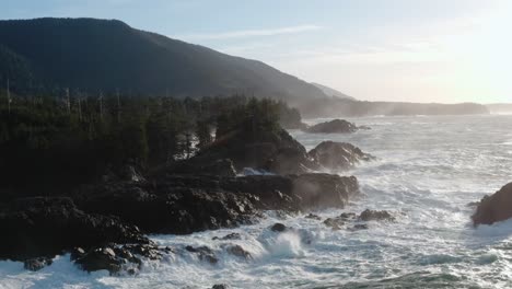 waves hitting the coast of vancouver island, british columbia at sunrise