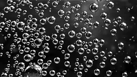 close-up of bubbles in carbonated drink