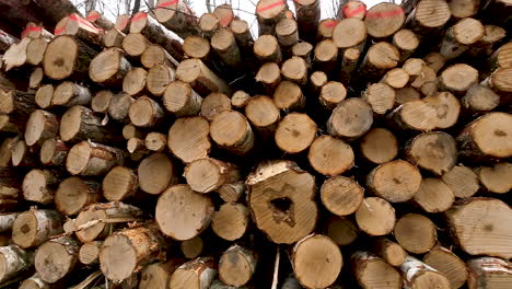 Close-up-view-of-stacked-pile-of-wooden-logs,-commercial-timber-harvesting