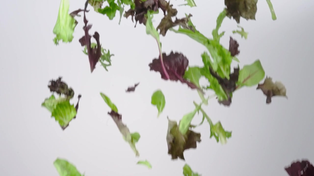 Misto di insalate primaverili fresche e verdi che cadono su uno sfondo bianco al rallentatore, primo piano macro.