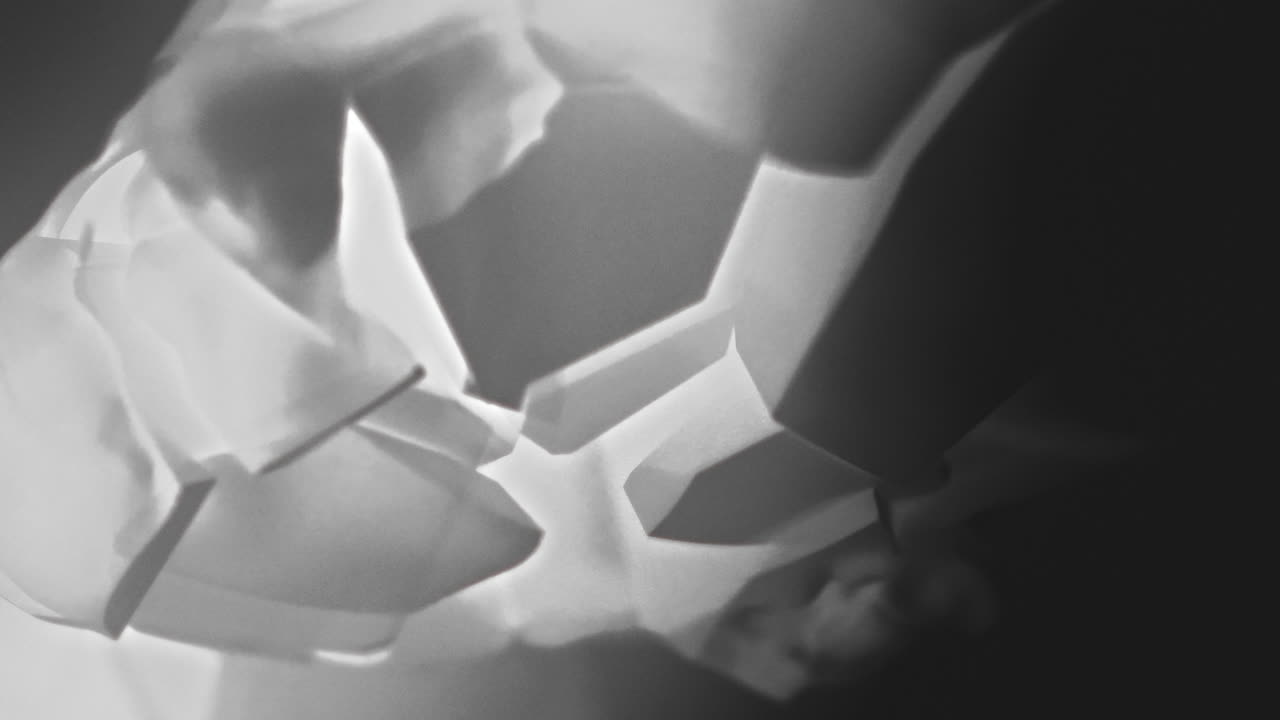 A broken mannequin head shell in xray