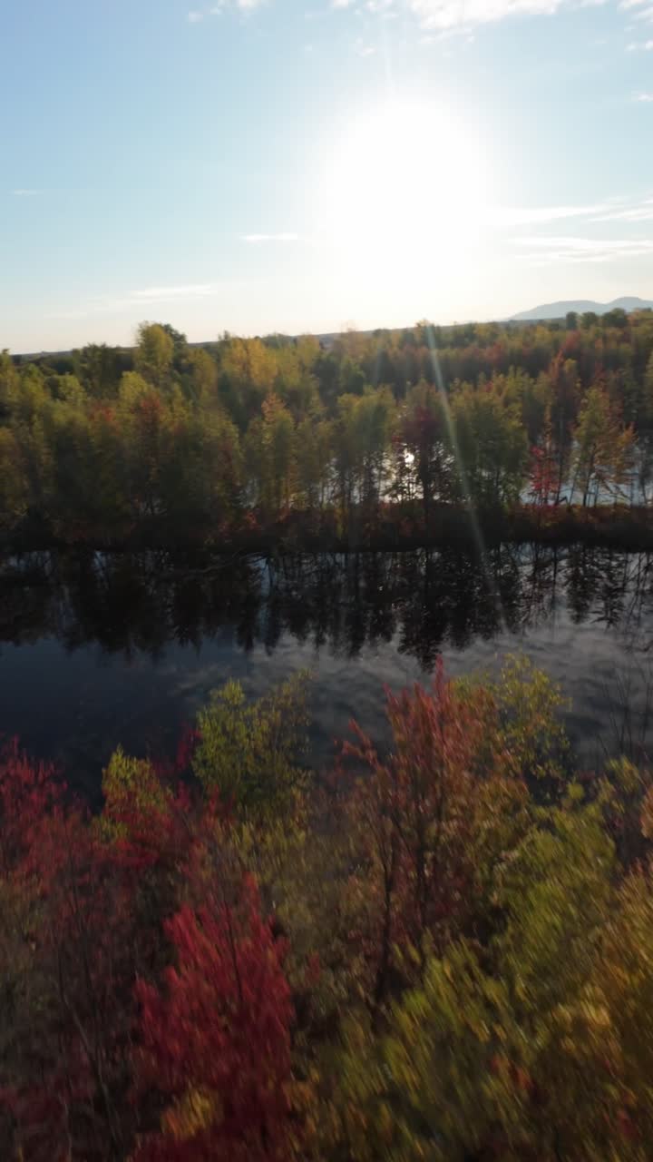 Sainte Julie Quebec Canada autumn lake with colorful fall trees as FPV drone flies low above water and rises into wide aerial view, vertical nature with calm reflections and seasonal outdoor mood