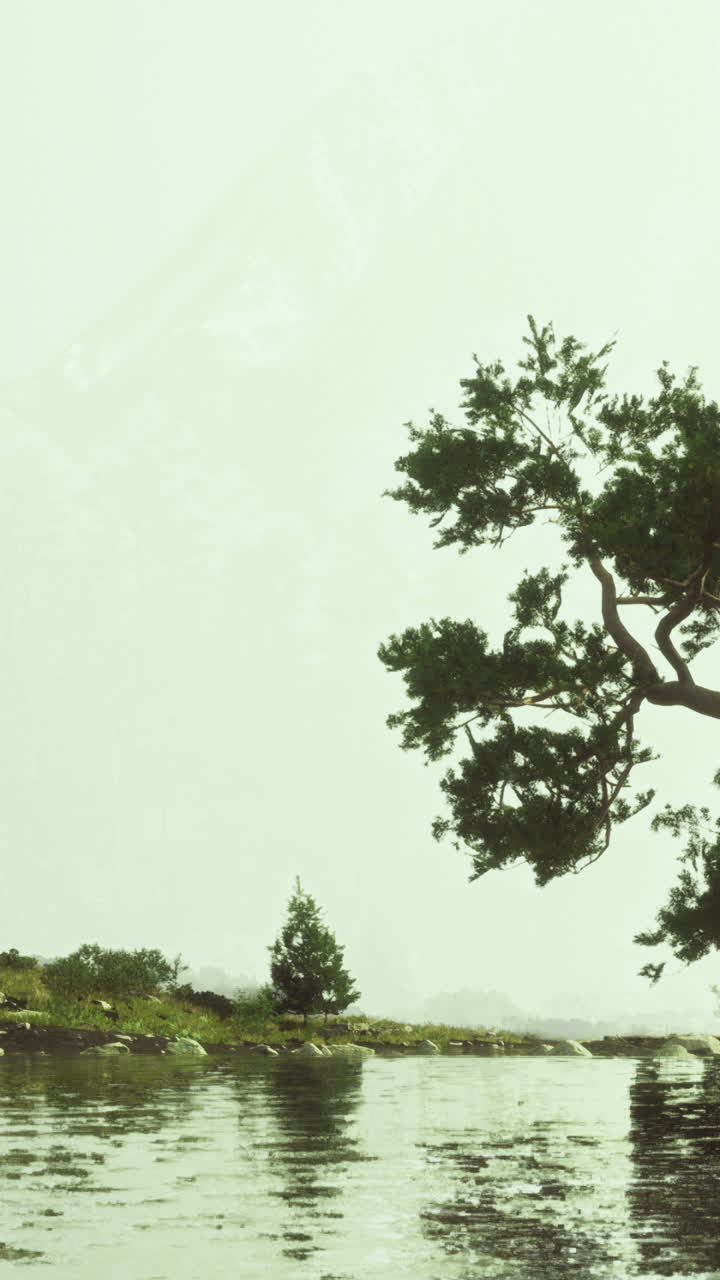 Serene river landscape with lush greenery and reflections in calm water