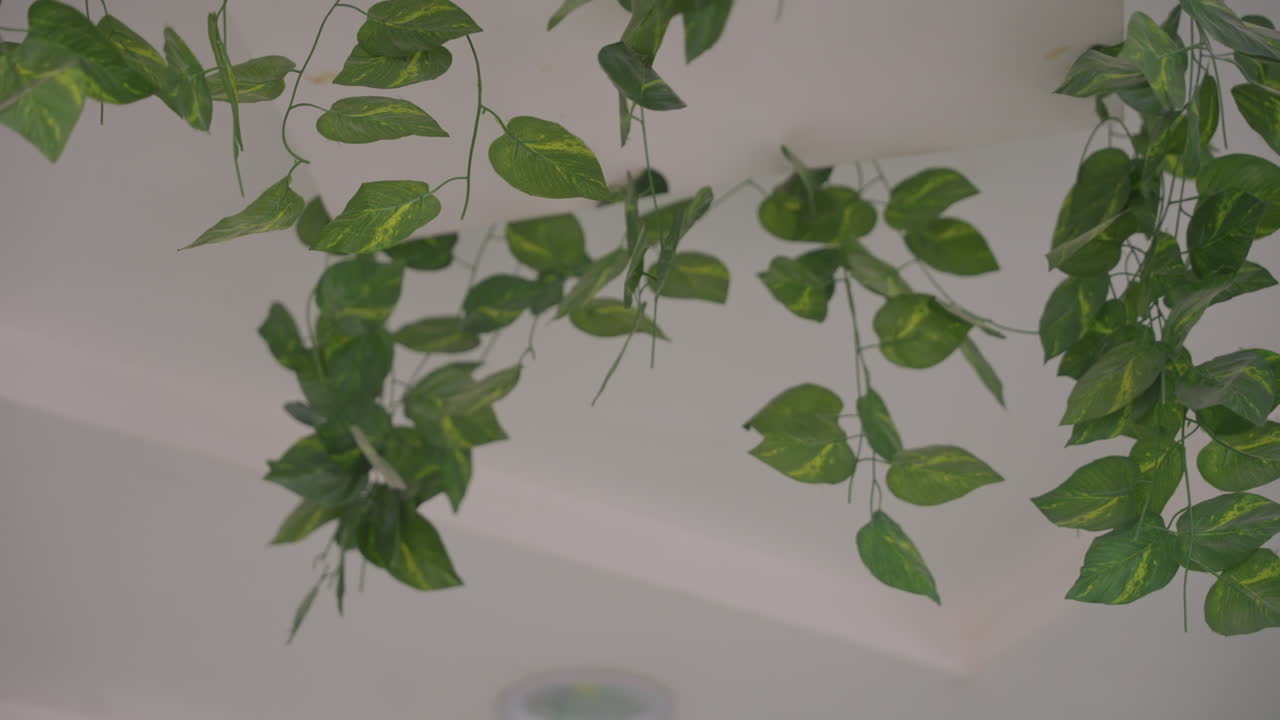 Elementi botanici decorativi migliorano l'atmosfera romantica. Interni moderni fondono fogliame naturale con illuminazione calda. Viti a soffitto e vegetazione lussureggiante creano un'atmosfera romantica in interni eleganti.