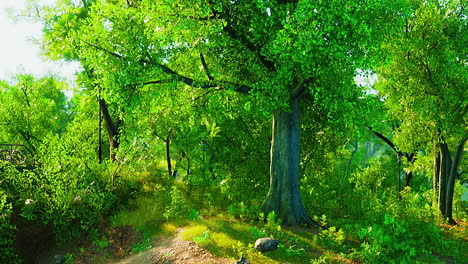 scenic lake in the summer park