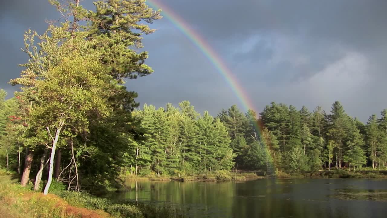 un arco iris sobre un bosque y cerca de un lago en maine rural