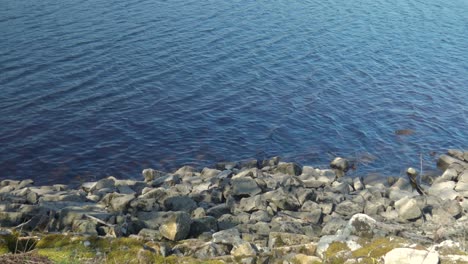 water close up within the lady bower reservoir beside some rocks on the shore ladybower within the peak district small waves sunny day shot in 4k