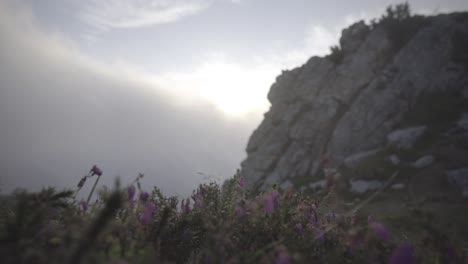 Neblige-Atmosphäre-Auf-Einer-Schönen-Wiese,-Blumen-Im-Vordergrund,-Berge-Im-Hintergrund,-Reisen