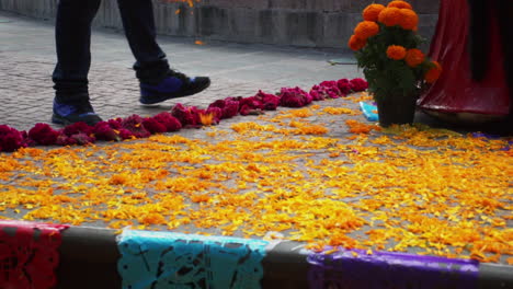 hombre irreconocible colocando pétalos de cempasuchil amarillo a plena luz del día en un altar de muertos durante la celebración del día de los muertos en méxico