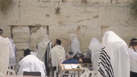 western wall, jerusalem, religious jewish men praying in black suits and hats, some with prayer shawls and tefilin or phylacteries. tracking shot of a large group of devoted worshipers in slow motion