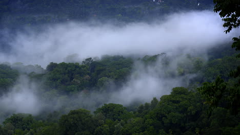 mountains in clouds at evening in summer