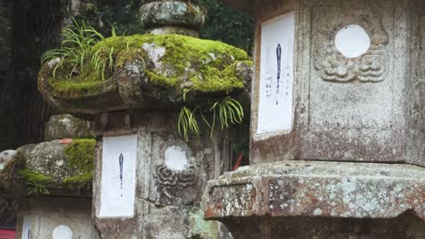 close up view of shrines in nara park, japan