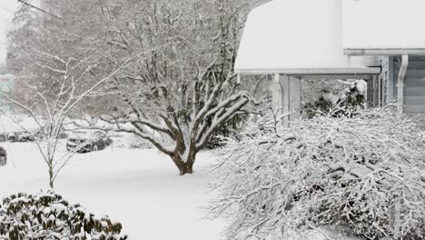 extreme snowfall in neighborhood with white garden, snow capped cars and rooftops of house