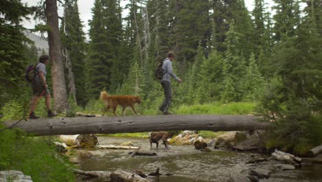 hikers cross a stream using a fallen tree